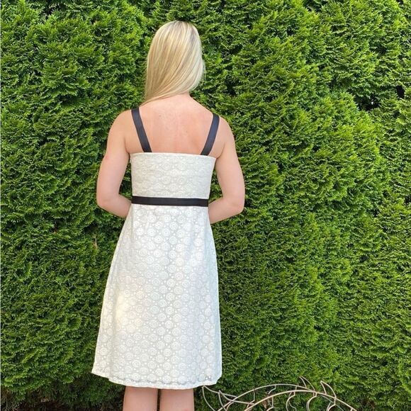 Ann Taylor LOFT Cream Black Lace Classic Fit & Flare Dress - Picture 6 of 16